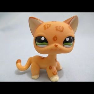 Meet your Posher, Hanna